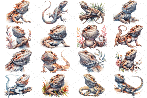 16 Watercolor Bearded Dragon Bundle: Illustrations Review