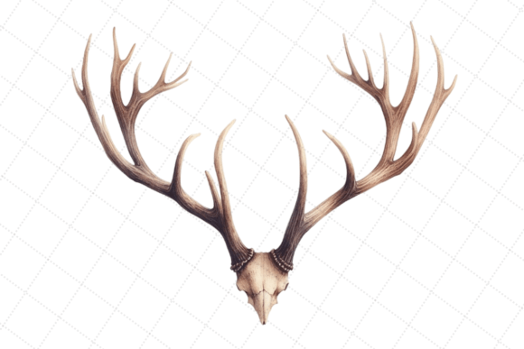 Deer Horn Watercolor Reindeer Antler: A Versatile Illustration