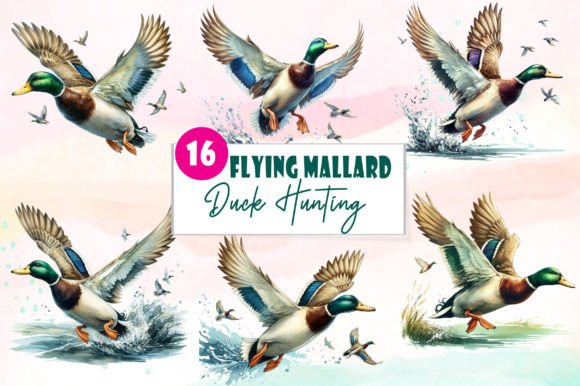 Flying Mallard Duck Hunting Watercolor: A Versatile Illustration