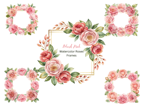 Pink Blush Watercolor Roses Frames: Editorial Illustrations