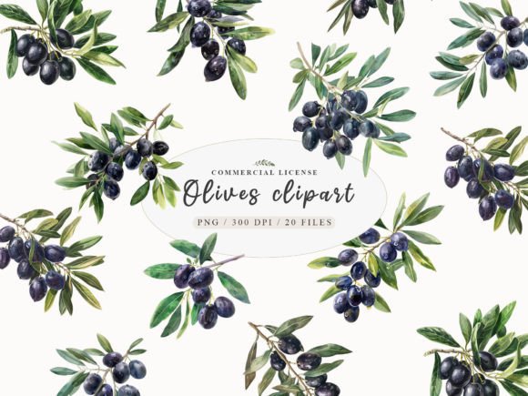 Watercolor Olives Clipart: A Versatile Illustration for Branding