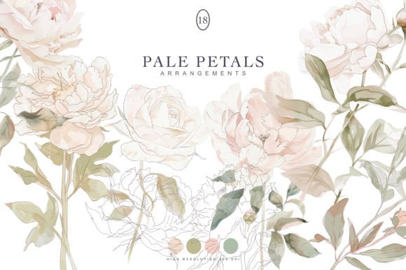 Watercolor Pale Flowers for Elegant Illustrations