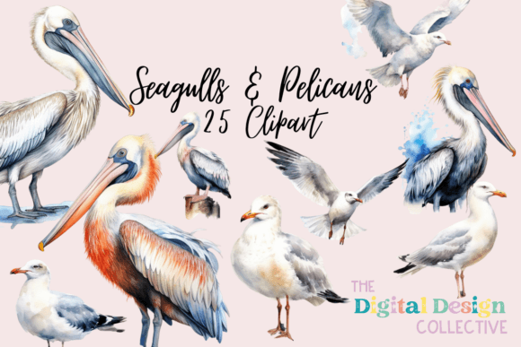 Watercolor Pelican and Seagull Clipart for Illustrations