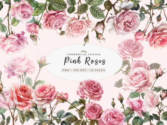 Watercolor Pink Rose Clipart for Elegant Illustrations