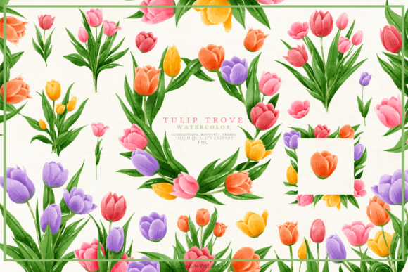 Watercolor Tulips: A Fresh Addition to Illustrations